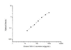 Novus Biologicals™ Human Neuregulin-1/NRG1 ELISA Kit (Colorimetric)